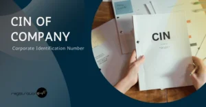 cin number of company
