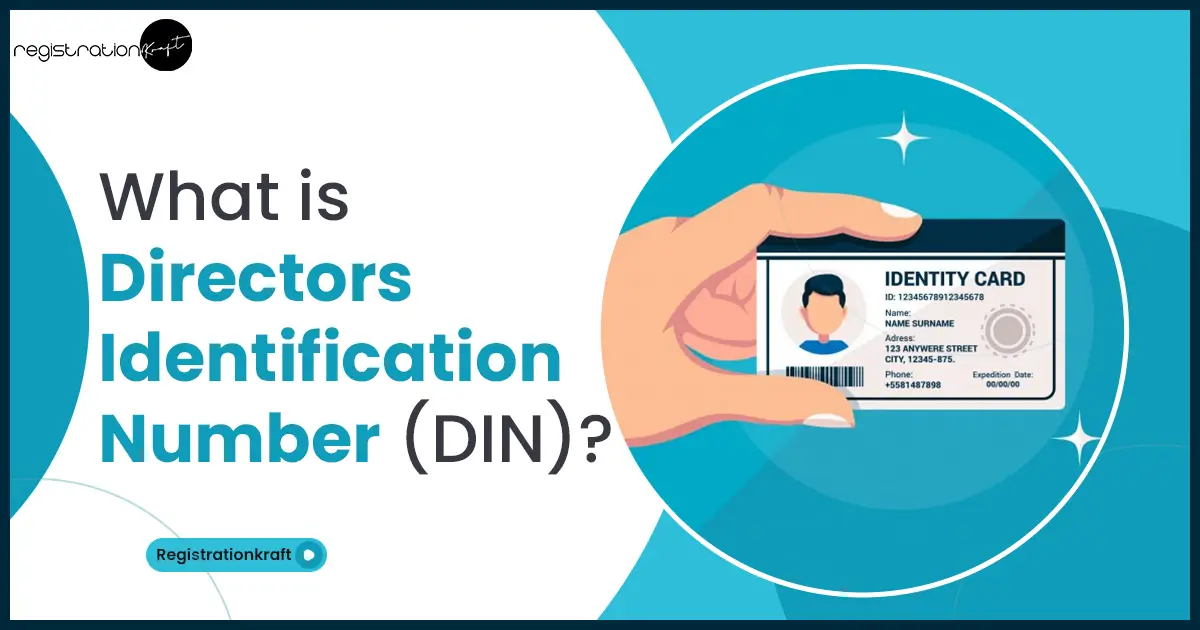 what is director identification number