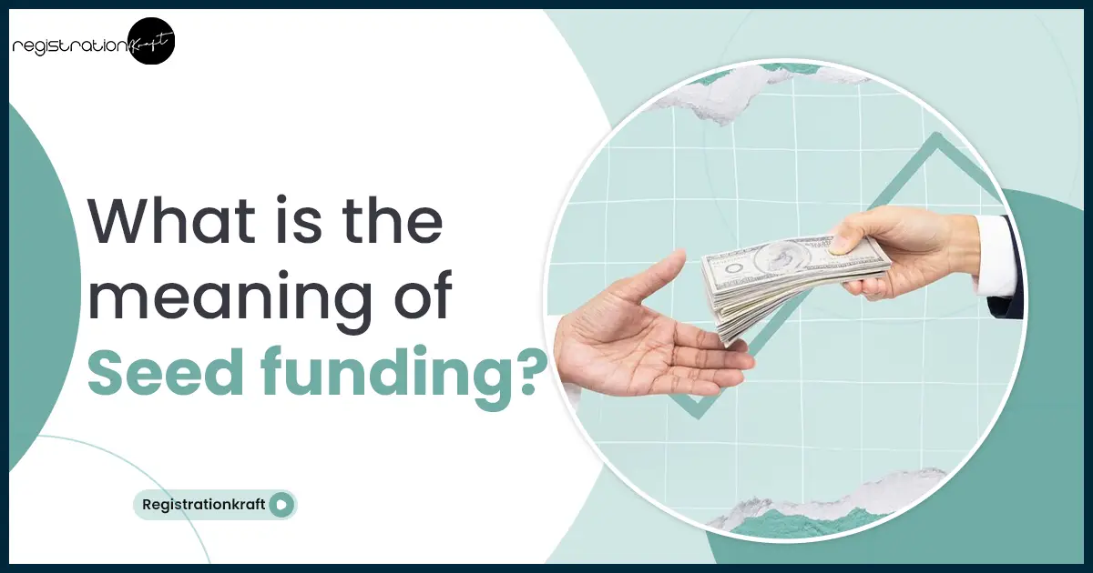 meaning of seed funding