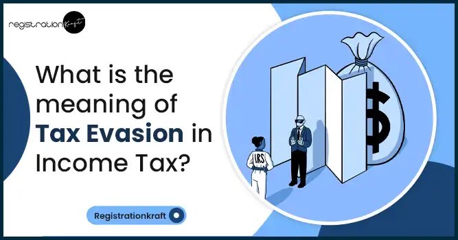 what is the meaning of tax evasion?