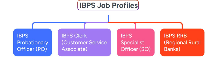 job profiles under ibps