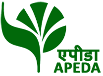 apeda logo